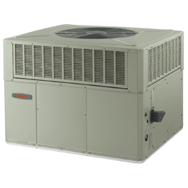 XB13CGasElectric