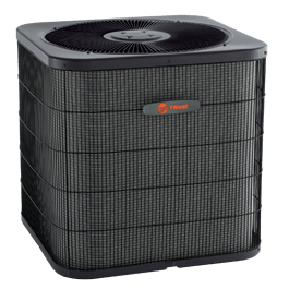 XB300