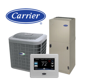 Carrier